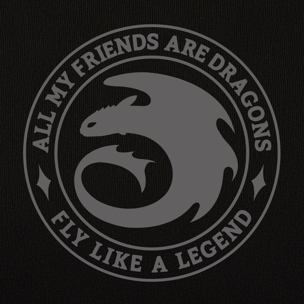Productafbeelding Hoe Tem Je Een Draak - Night Fury Legend Hoodie zwart