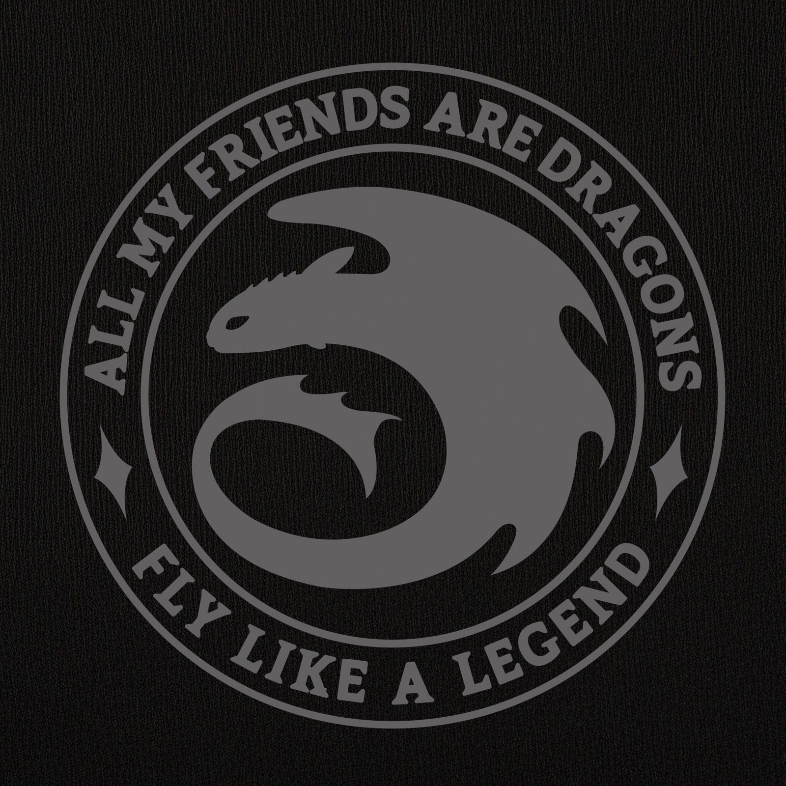 Productafbeelding Hoe Tem Je Een Draak - Night Fury Legend Hoodie zwart