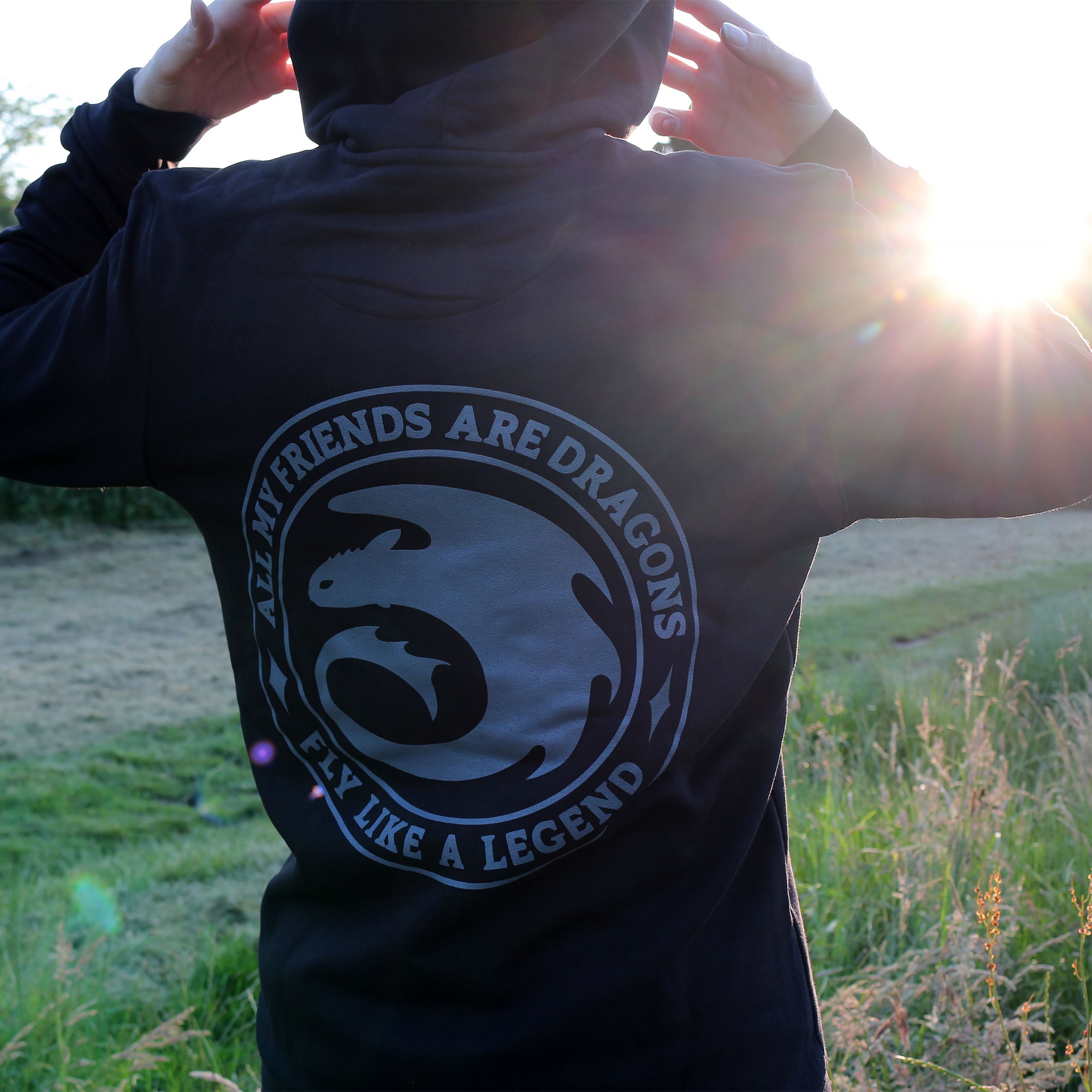 Productafbeelding Hoe Tem Je Een Draak - Night Fury Legend Hoodie zwart