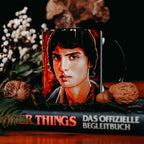 Productafbeelding Mike Mok - Stranger Things Final Season