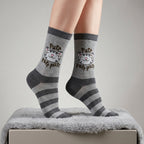 Productafbeelding The Big Bang Theory - Sokken 3-pack in geschenkdoos