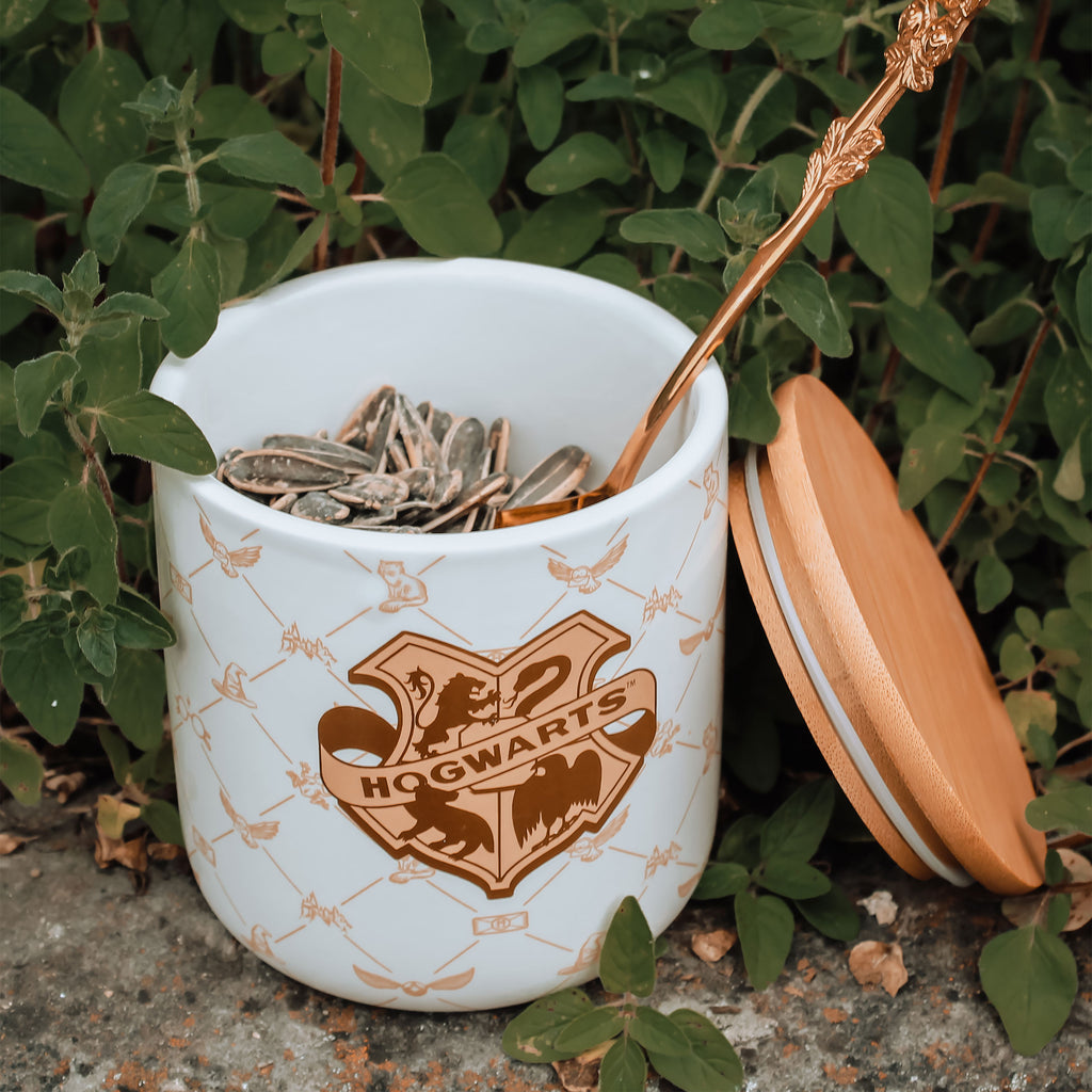 Productafbeelding Harry Potter - Hogwarts Pot Serene Collection