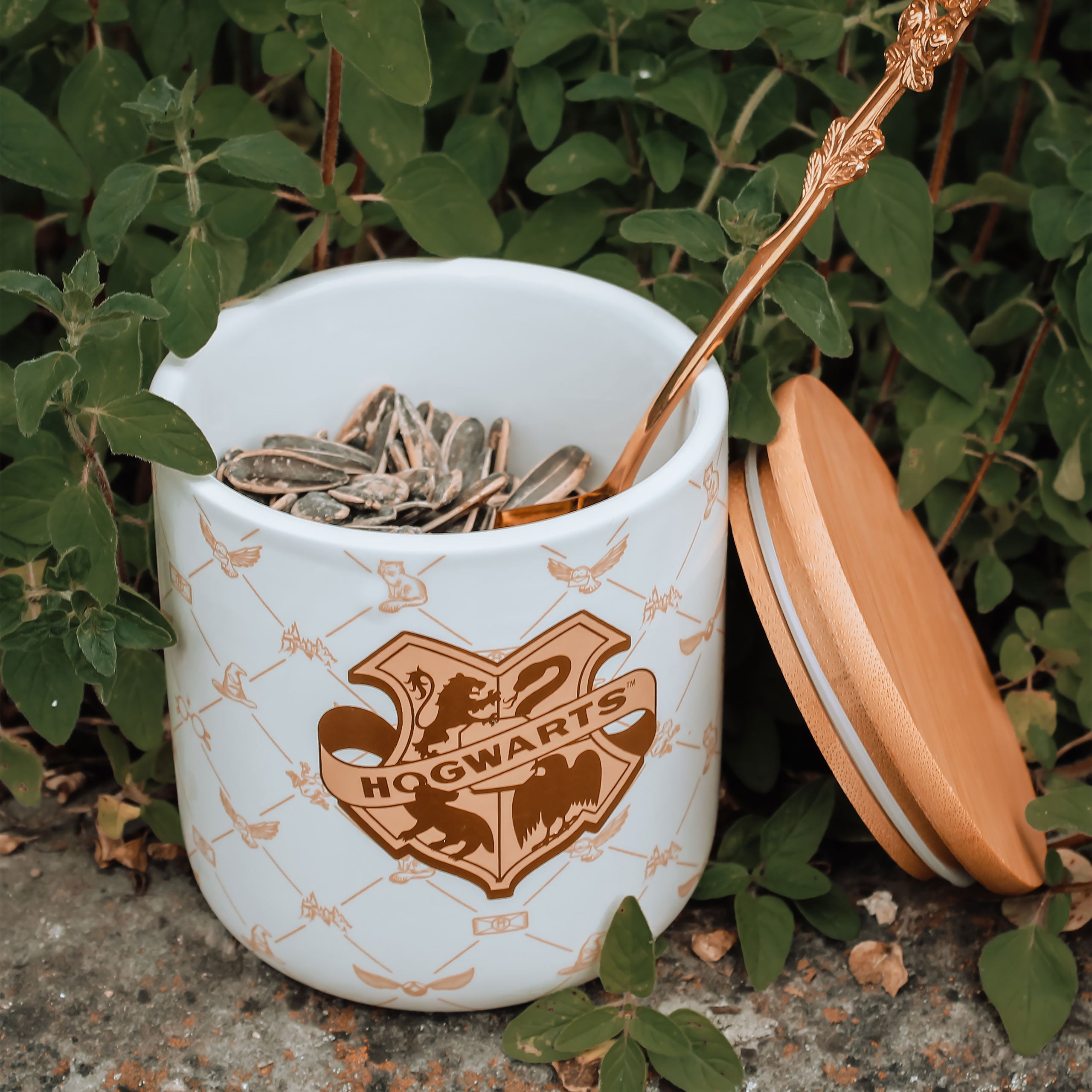 Productafbeelding Harry Potter - Hogwarts Pot Serene Collection