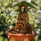 Productafbeelding Harry Potter - Mandragora Tuinfiguur