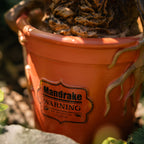 Productafbeelding Harry Potter - Mandragora Tuinfiguur