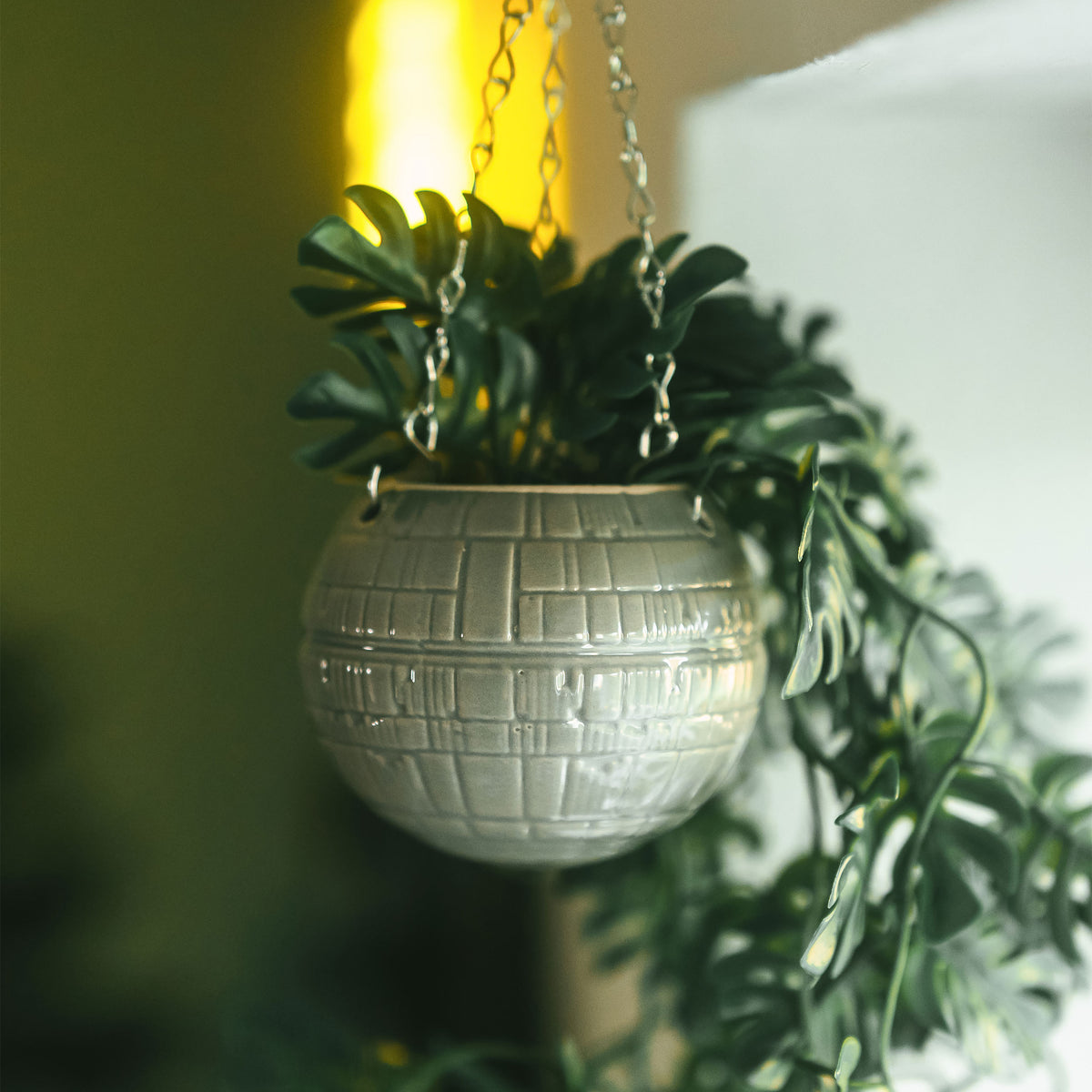 Productafbeelding Death Star hangbloempot - Star Wars
