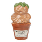 Productafbeelding Harry Potter - Mandragora Zout & Peperstel