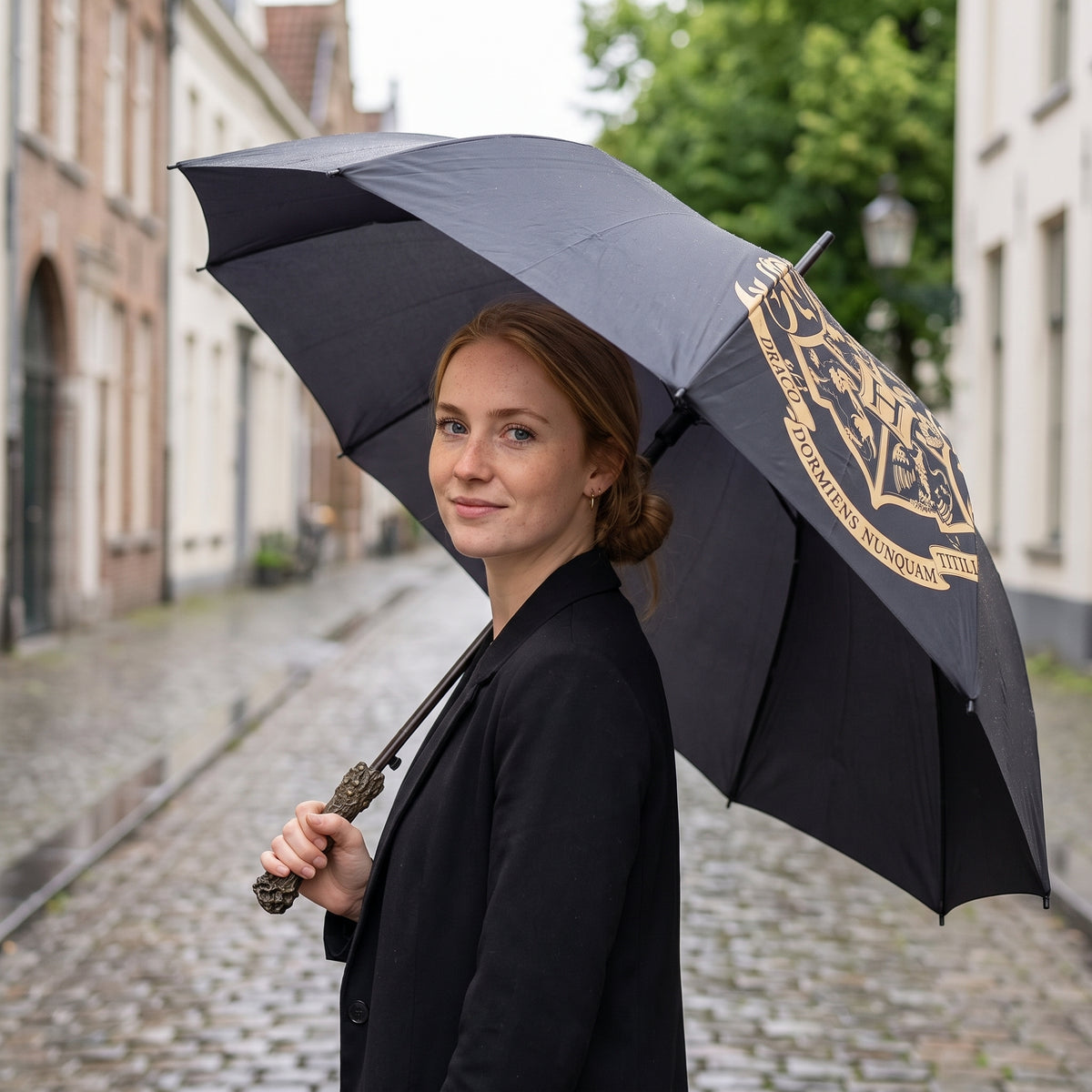 Productafbeelding Harry Potter - Hogwarts Paraplu