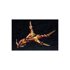 Productafbeelding Arcanadea - XenoAlma Blaze Ophis Modelbouwfiguur
