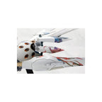 Productafbeelding Ikaruga - Ginkei Modelbouwfiguur
