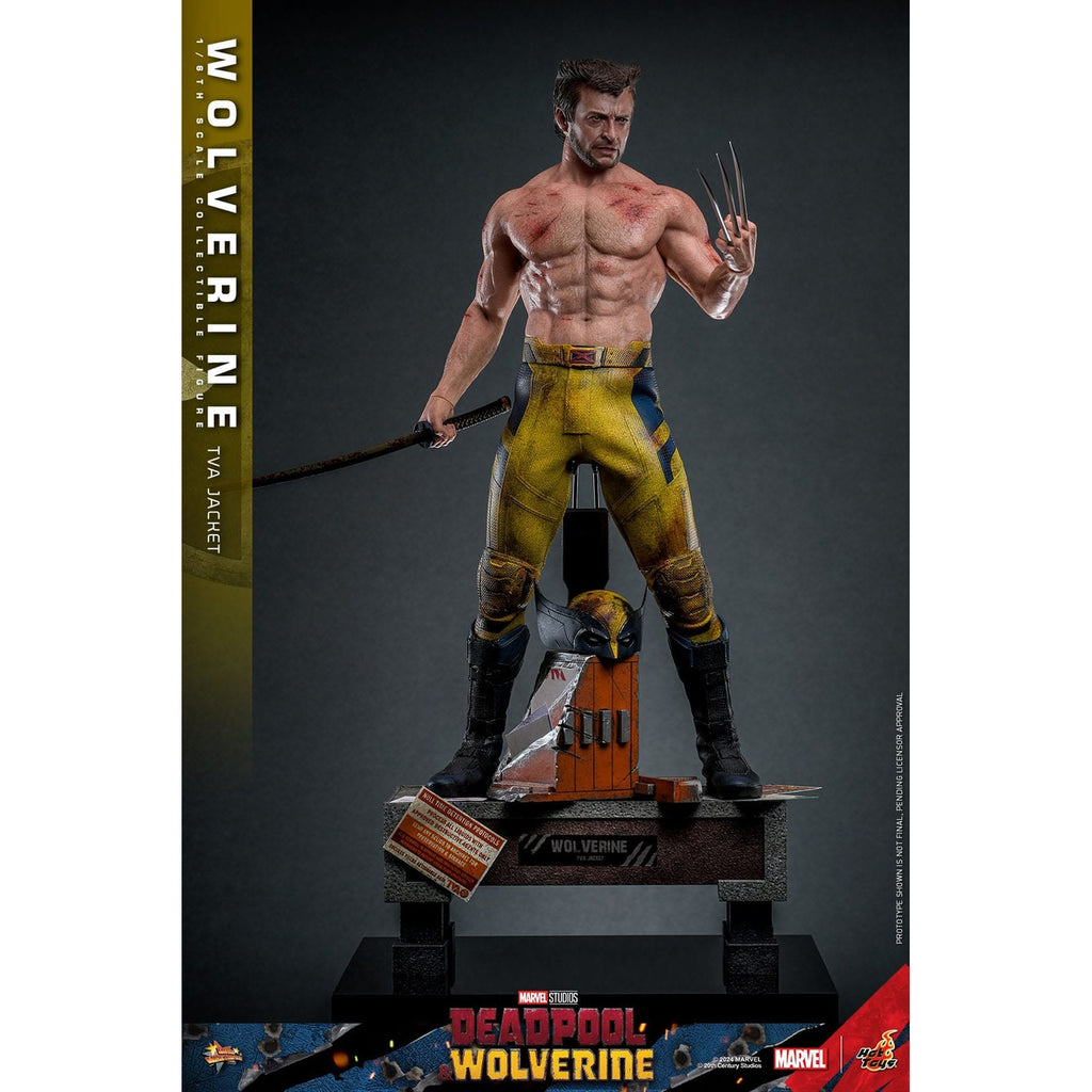 Productafbeelding Wolverine Masterpiece Actiefiguur 1:6 TVA Jacket Version – Deadpool & Wolverine