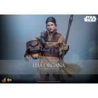 Productafbeelding Star Wars Episode VI – Leia Organa Masterpiece 1:6 Actiefiguur