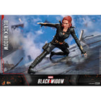 Productafbeelding Black Widow Masterpiece Actiefiguur 1:6 Special Edition - Black Widow