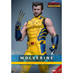 Product image Wolverine Masterpiece 1:6 Scale Action Figure Deluxe Version – Deadpool & Wolverine