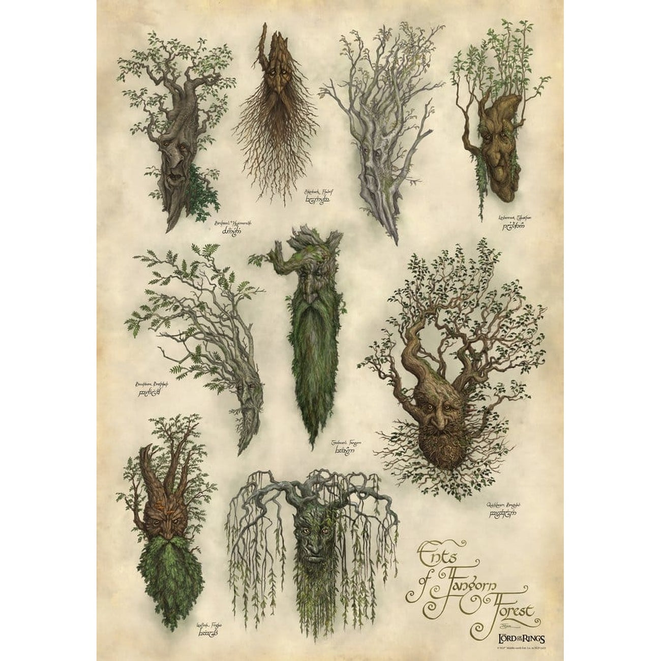 Product image The Lord of the Rings – Fangorn Art Print