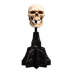 Productafbeelding The Lord of the Rings - Schedel van een Mordor Ork Mini Beeld