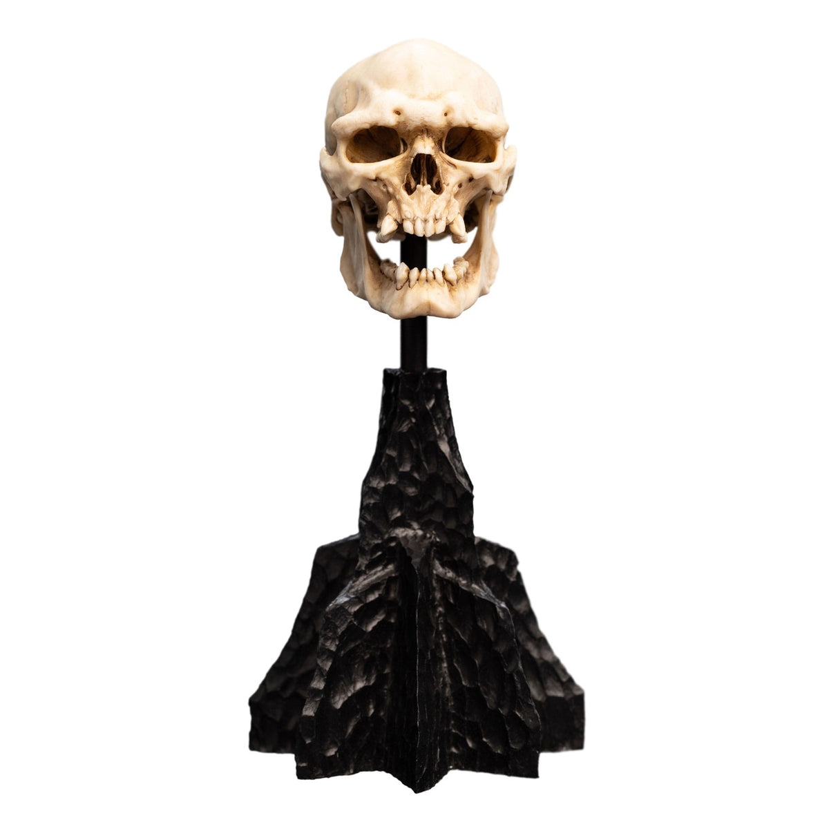 Productafbeelding The Lord of the Rings - Schedel van een Mordor Ork Mini Beeld