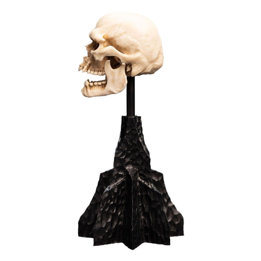 Productafbeelding The Lord of the Rings - Schedel van een Mordor Ork Mini Beeld