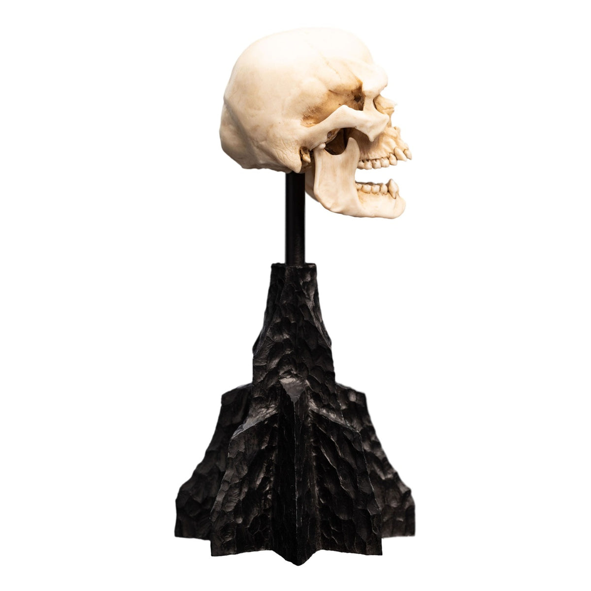 Productafbeelding The Lord of the Rings - Schedel van een Mordor Ork Mini Beeld