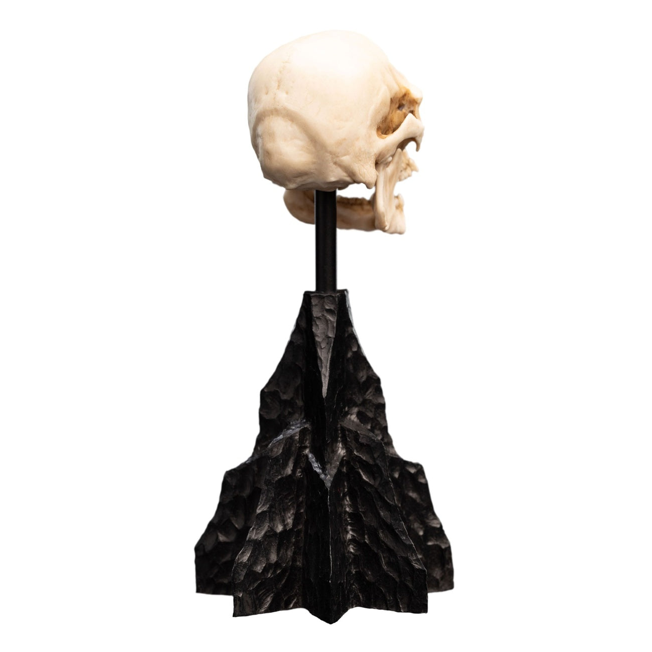 Productafbeelding The Lord of the Rings - Schedel van een Mordor Ork Mini Beeld
