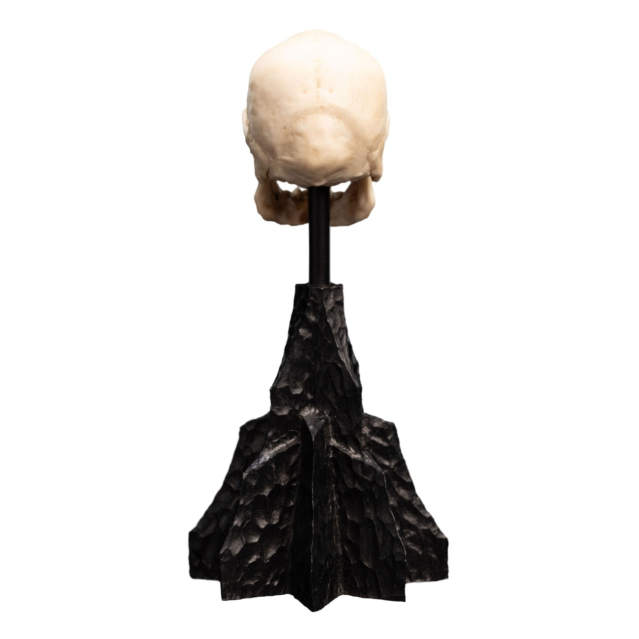 Productafbeelding The Lord of the Rings - Schedel van een Mordor Ork Mini Beeld