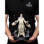 Productafbeelding The Lord of the Rings - Saruman de Witte Beeld