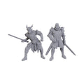 Productafbeelding D&D Nolzur's Marvelous Miniatures ongeschilderde miniaturen Ulder Ravengard & Zevlor