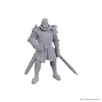 Productafbeelding D&D Nolzur's Marvelous Miniatures ongeschilderde miniaturen Ulder Ravengard & Zevlor