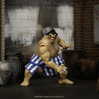 Productafbeelding Ultra Street Fighter II: The Final Challengers Actiefiguur 1/12 E. Honda 16 cm