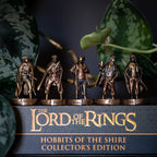 Product image The Lord of the Rings - The Fellowship Collectible Figures Set of 5
