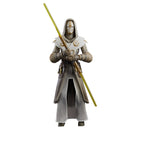 Productafbeelding Star Wars: The Clone Wars Black Series actiefiguur Jedi Temple Guard 15 cm