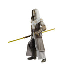 Productafbeelding Star Wars: The Clone Wars Black Series actiefiguur Jedi Temple Guard 15 cm