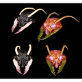 Productafbeelding Cosmic Character Pack Accessoireset voor actiefiguren – Sphexxian Helmets Set