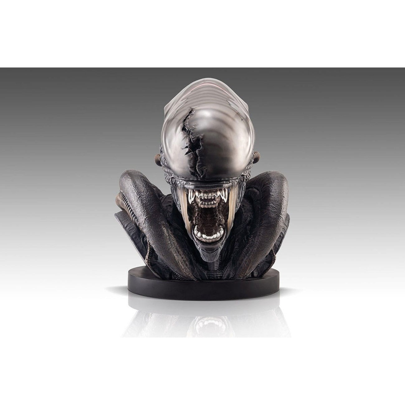 Productafbeelding Alien Romulus Buste 1/1 Xenomorph 53 cm