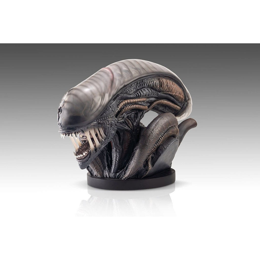 Productafbeelding Alien Romulus Buste 1/1 Xenomorph 53 cm
