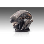 Productafbeelding Alien Romulus Buste 1/1 Xenomorph 53 cm