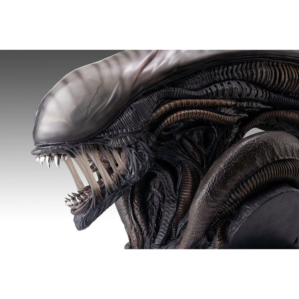 Productafbeelding Alien Romulus Buste 1/1 Xenomorph 53 cm