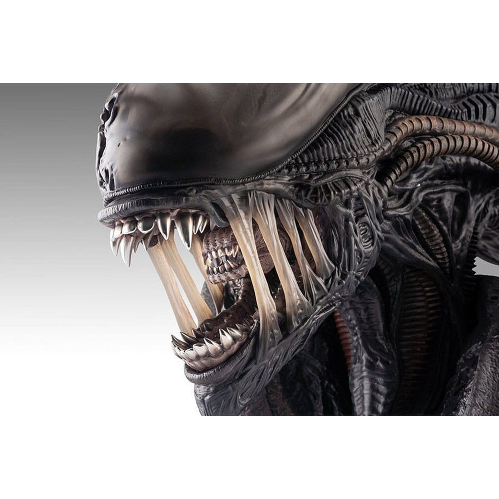 Productafbeelding Alien Romulus Buste 1/1 Xenomorph 53 cm