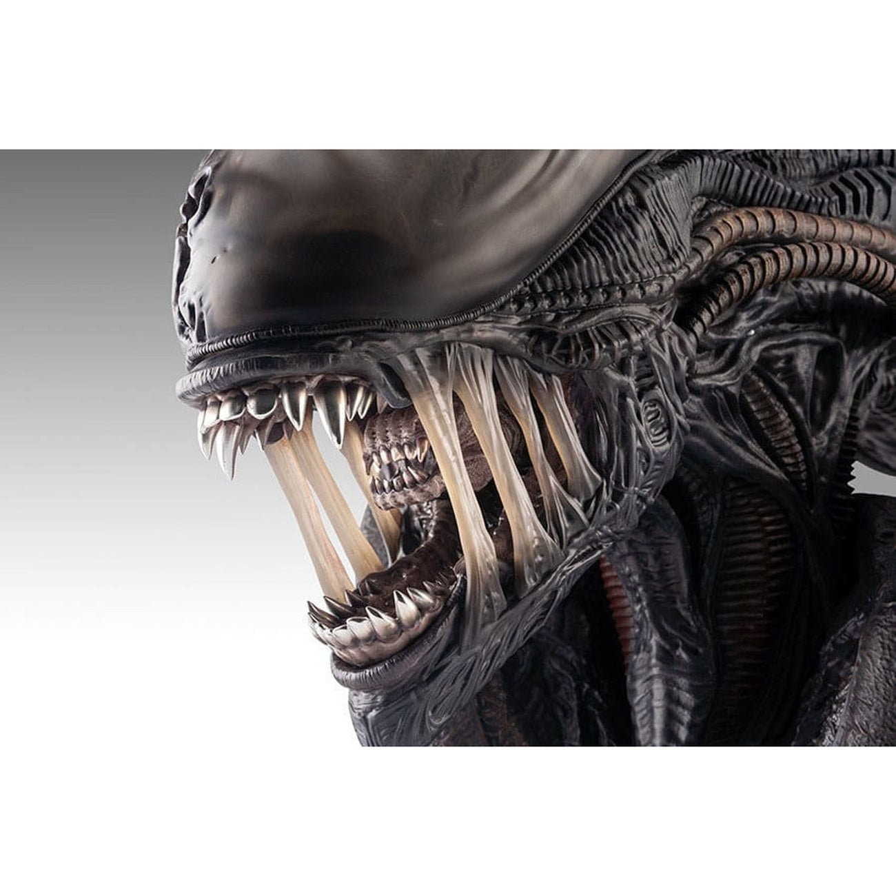 Productafbeelding Alien Romulus Buste 1/1 Xenomorph 53 cm