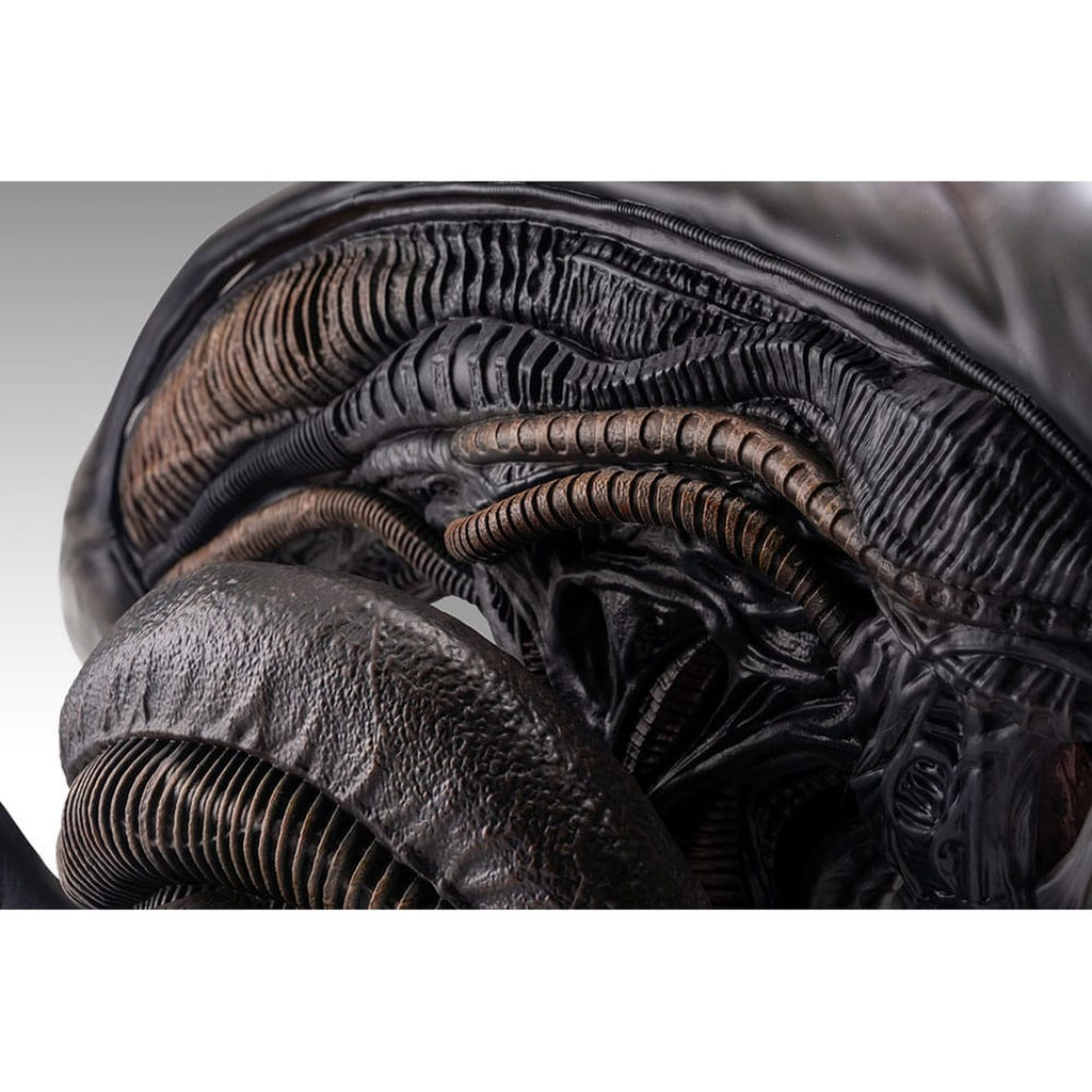 Productafbeelding Alien Romulus Buste 1/1 Xenomorph 53 cm