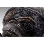 Productafbeelding Alien Romulus Buste 1/1 Xenomorph 53 cm