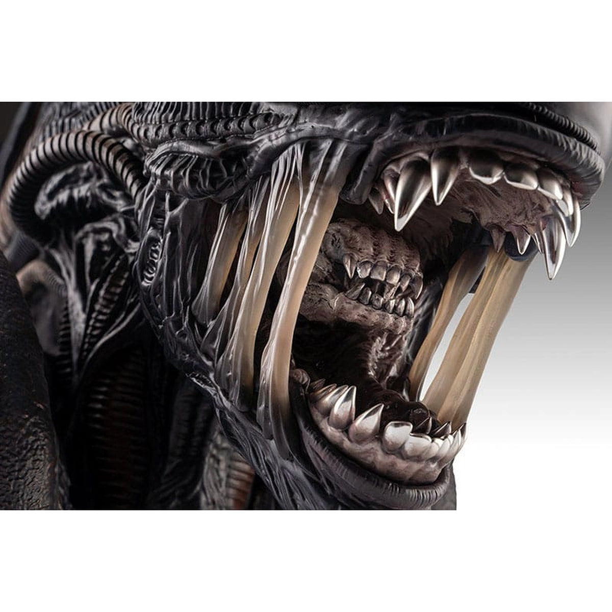 Productafbeelding Alien Romulus Buste 1/1 Xenomorph 53 cm