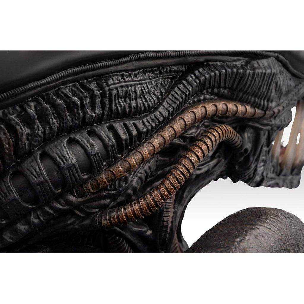 Productafbeelding Alien Romulus Buste 1/1 Xenomorph 53 cm