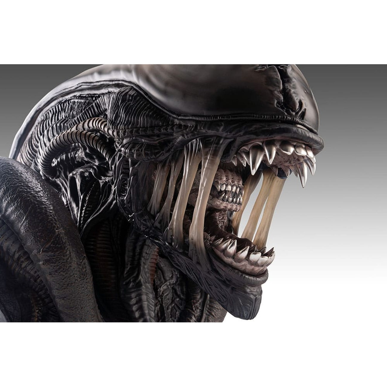 Productafbeelding Alien Romulus Buste 1/1 Xenomorph 53 cm