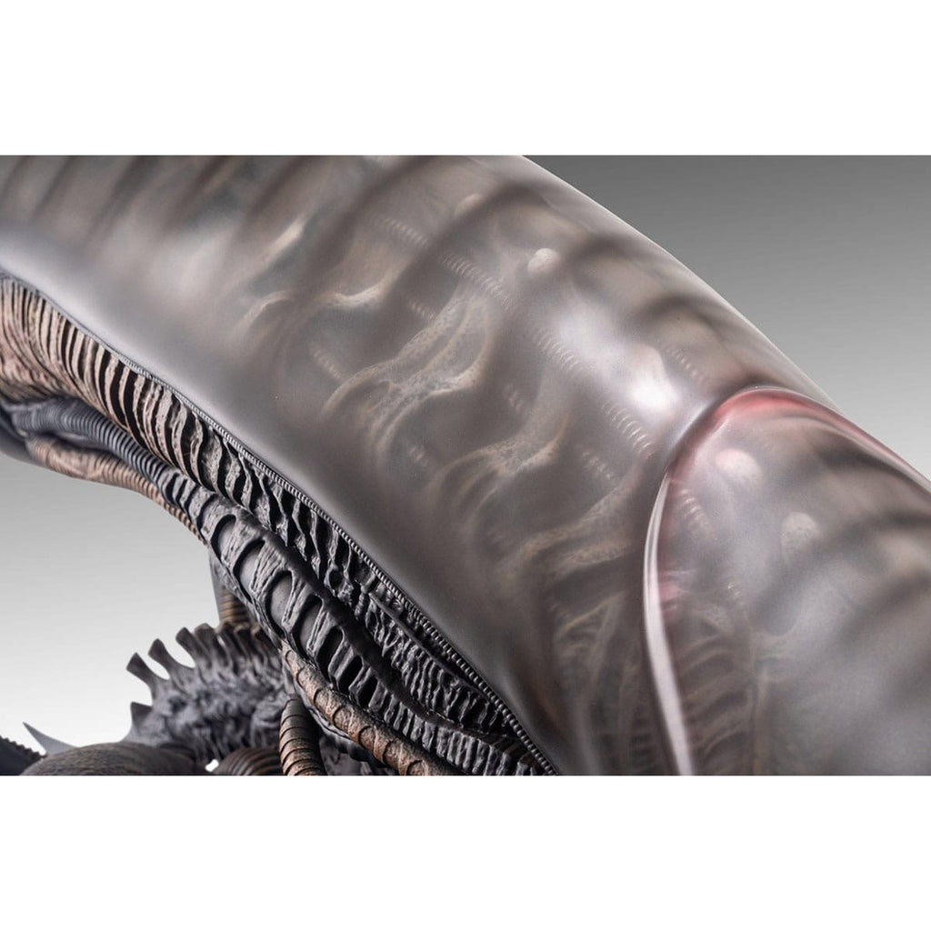 Productafbeelding Alien Romulus Buste 1/1 Xenomorph 53 cm