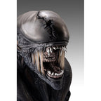 Productafbeelding Alien Romulus Buste 1/1 Xenomorph 53 cm
