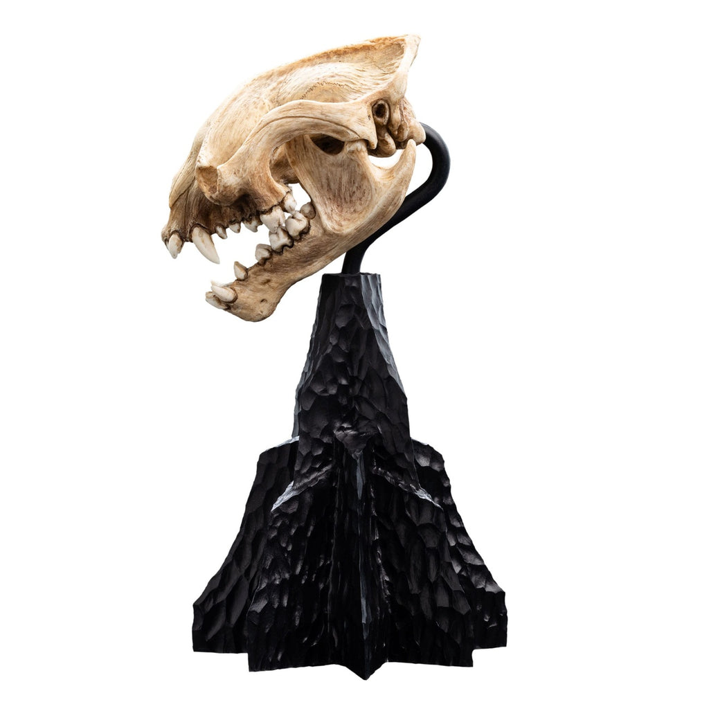 Productafbeelding The Lord of the Rings Mini Beeld Skull of a Warg 20 cm