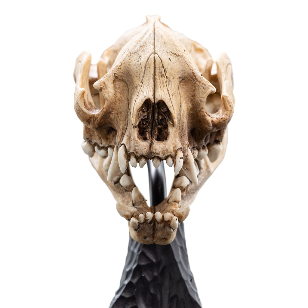 Productafbeelding The Lord of the Rings Mini Beeld Skull of a Warg 20 cm