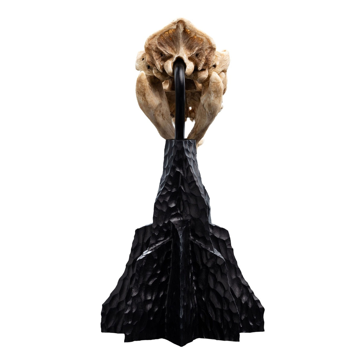 Productafbeelding The Lord of the Rings Mini Beeld Skull of a Warg 20 cm
