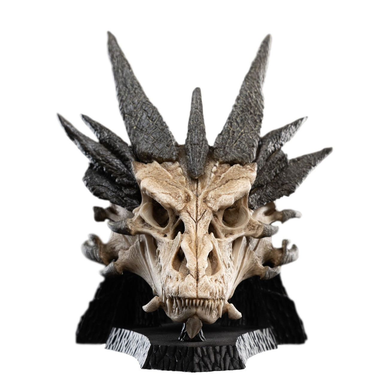 Product image The Lord of the Rings Mini Statue Skull of Smaug 22 cm